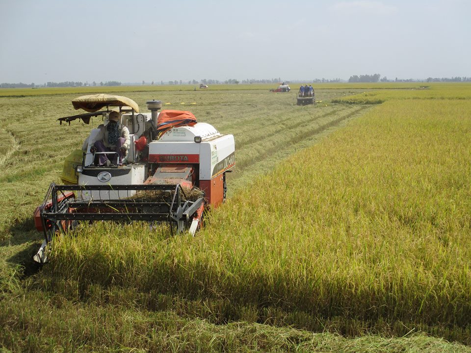 Nông nghiệp tự cường, bao giờ?