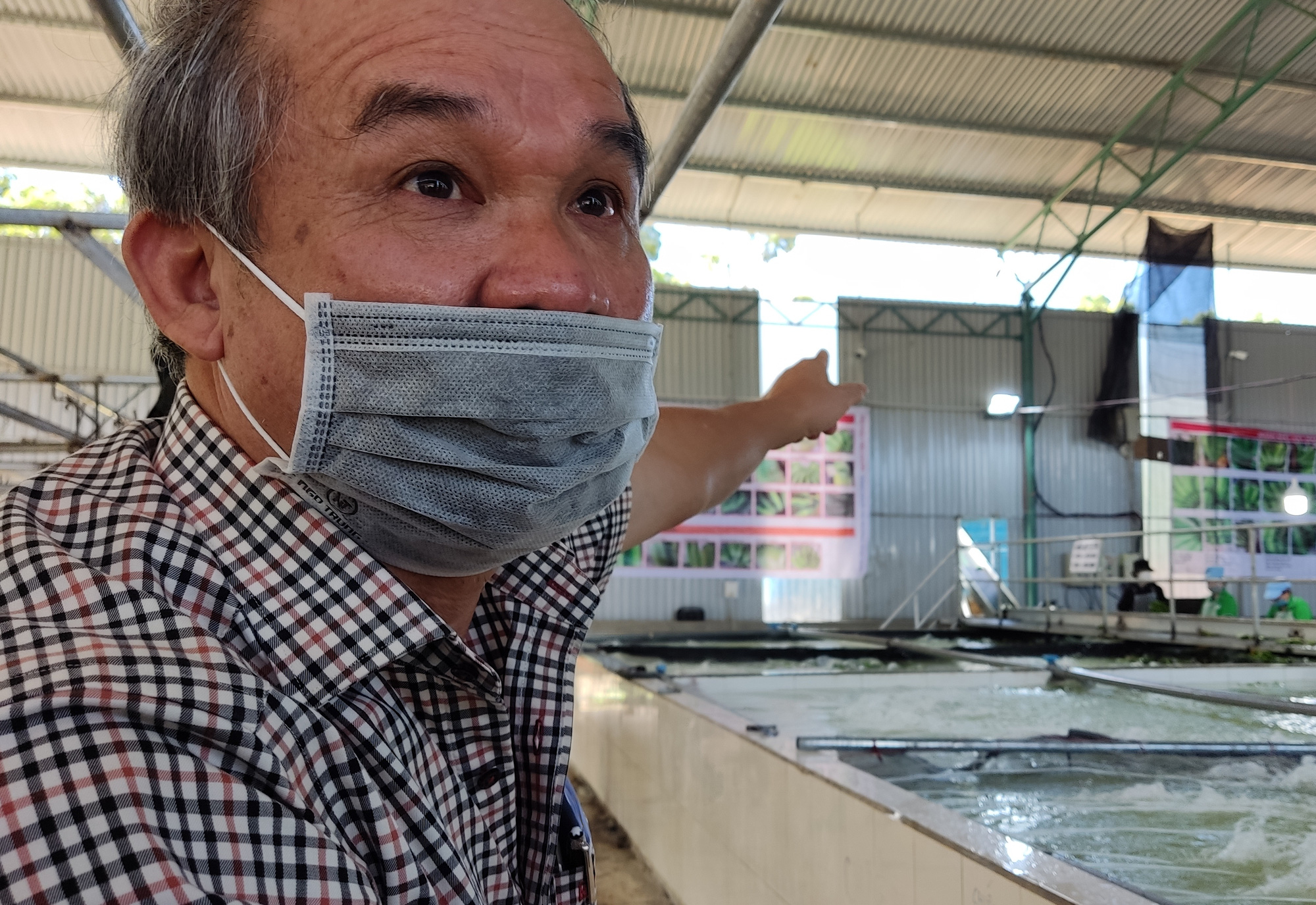 Bầu Đức gửi tâm thư cho cổ đông, tự tin vào chiến lược "heo ăn chuối"