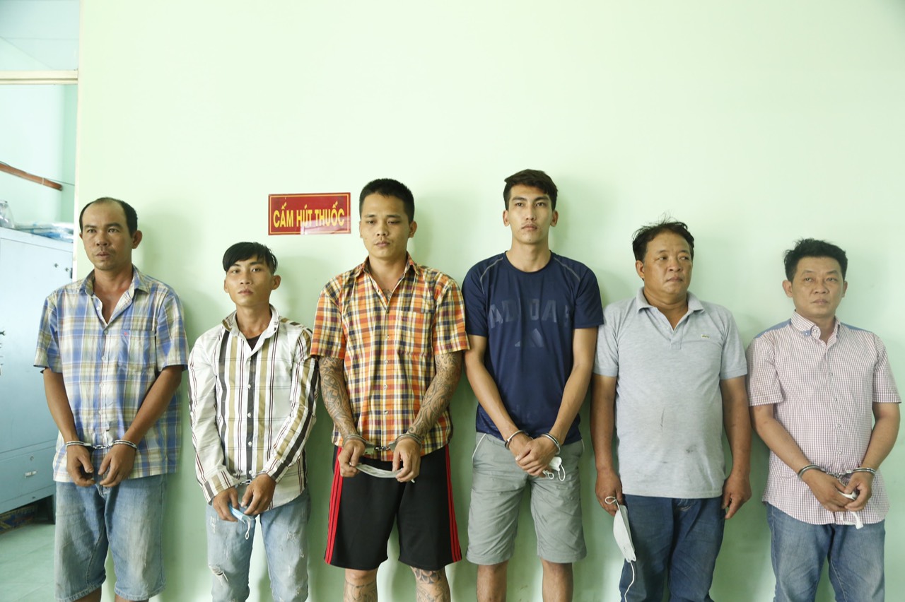 T&aacute;o tợn đem &ocirc;t&ocirc;, xe cẩu đi cướp c&acirc;y mai khủng - Ảnh 1.