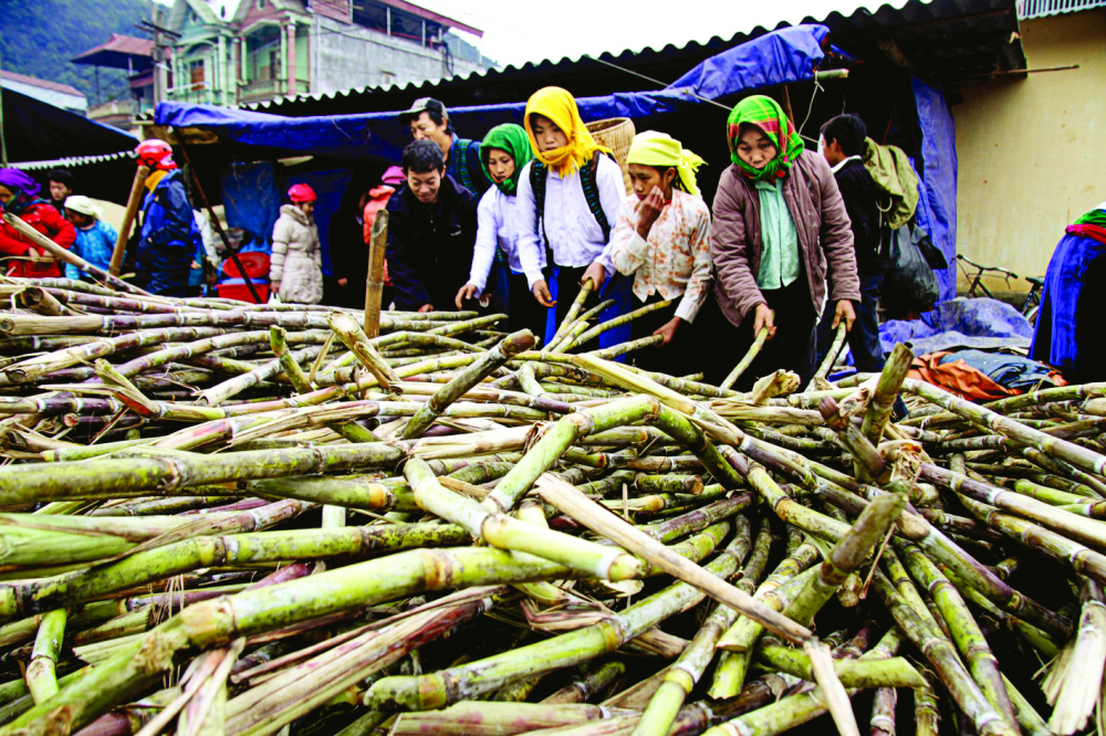 Đi xem chợ phiên trên cao nguyên đá - Ảnh 3.