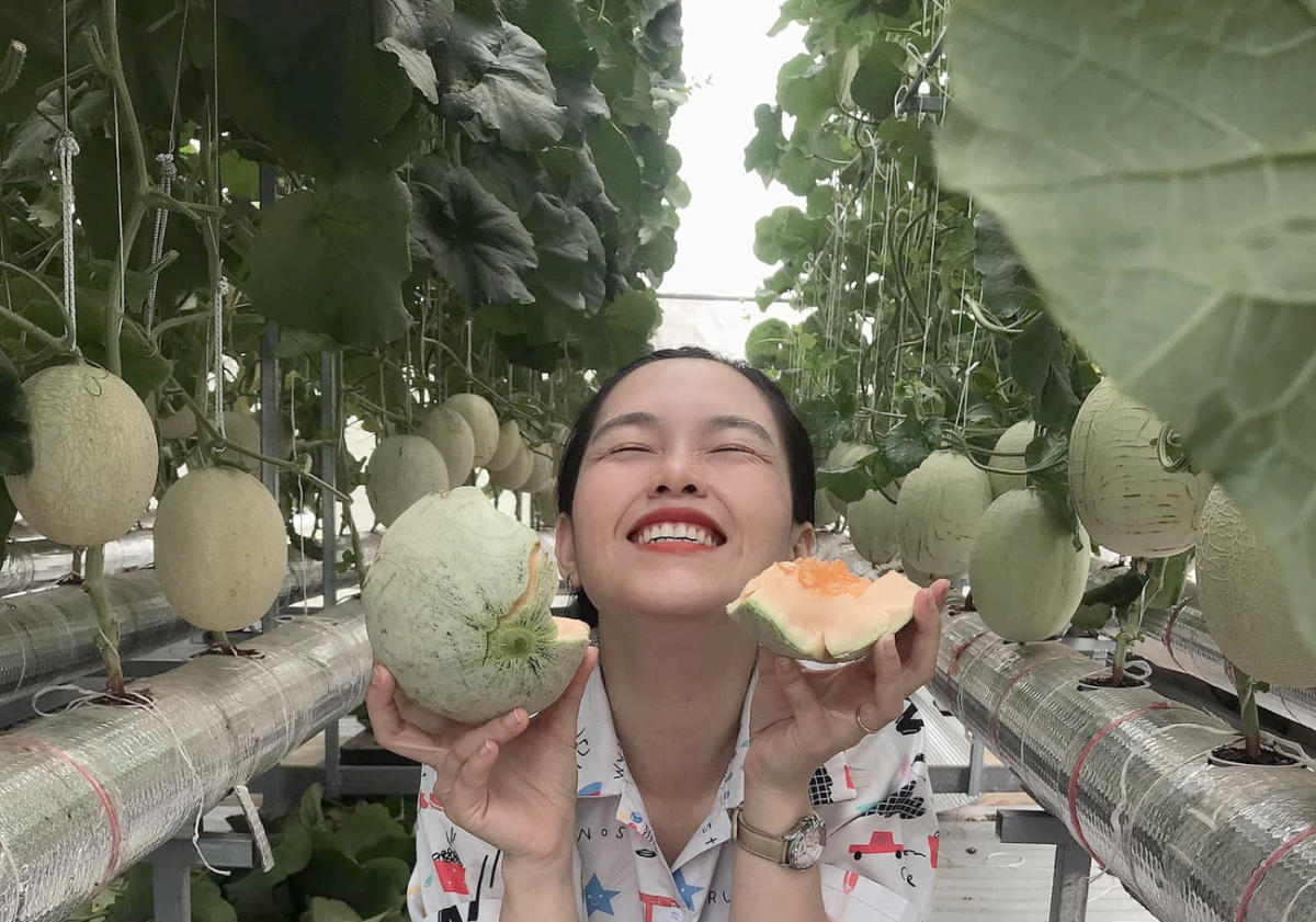 Thu hoạch 3 tạ dưa từ vườn trên mái tôn - Ảnh 8.