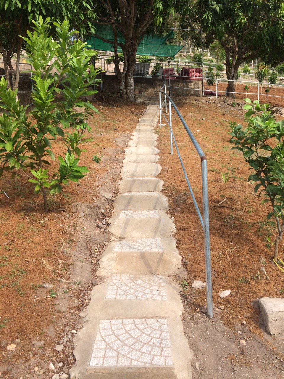 Chủ doanh nghiệp r&agrave;o đất n&uacute;i, hơn 40 ng&ocirc;i mộ bị &ldquo;phong tỏa&rdquo; - Ảnh 3.