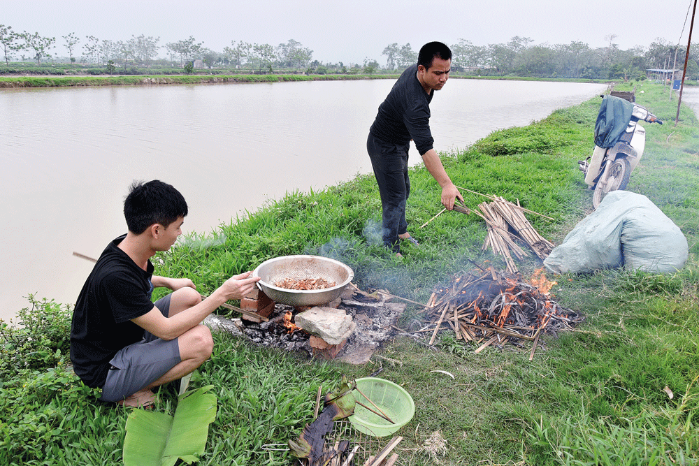C&aacute; &uacute;p chậu&hellip; giải cơn sầu - Ảnh 2.