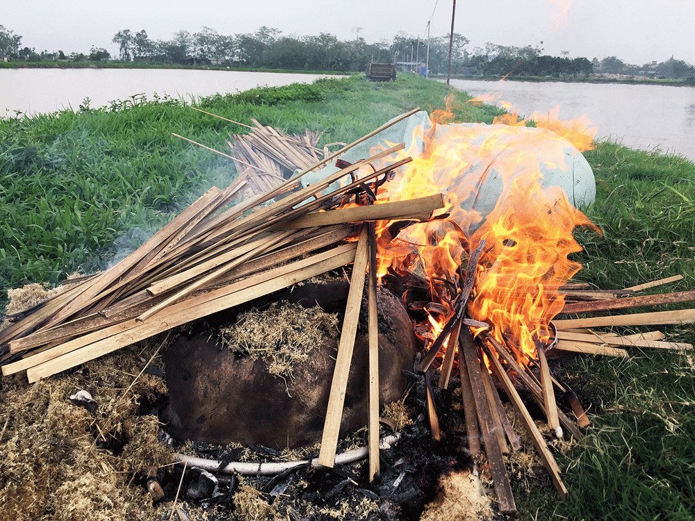C&aacute; &uacute;p chậu&hellip; giải cơn sầu - Ảnh 3.
