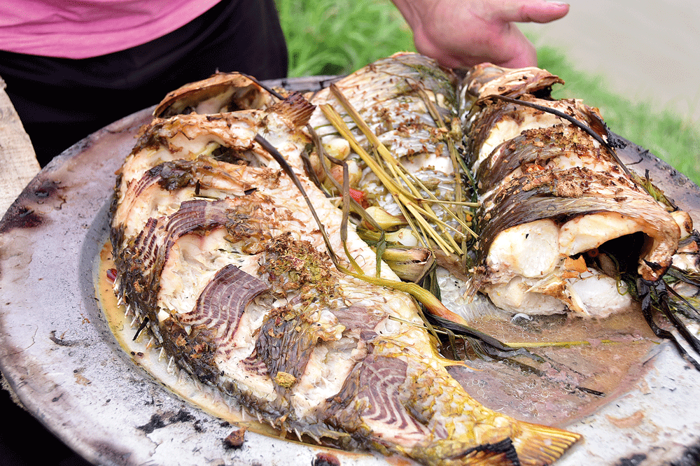 C&aacute; &uacute;p chậu&hellip; giải cơn sầu - Ảnh 5.