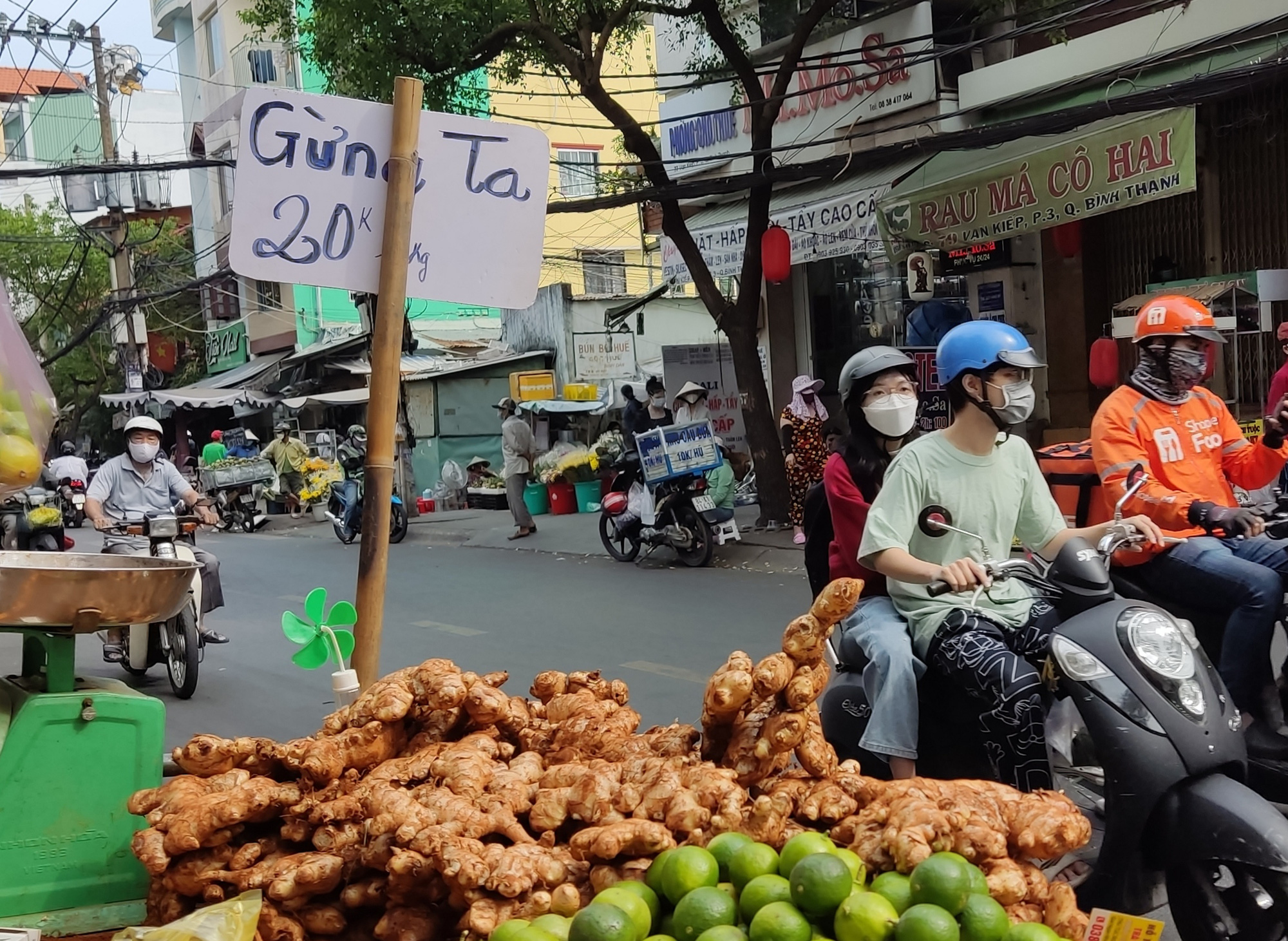 Giá gừng rẻ chưa từng có