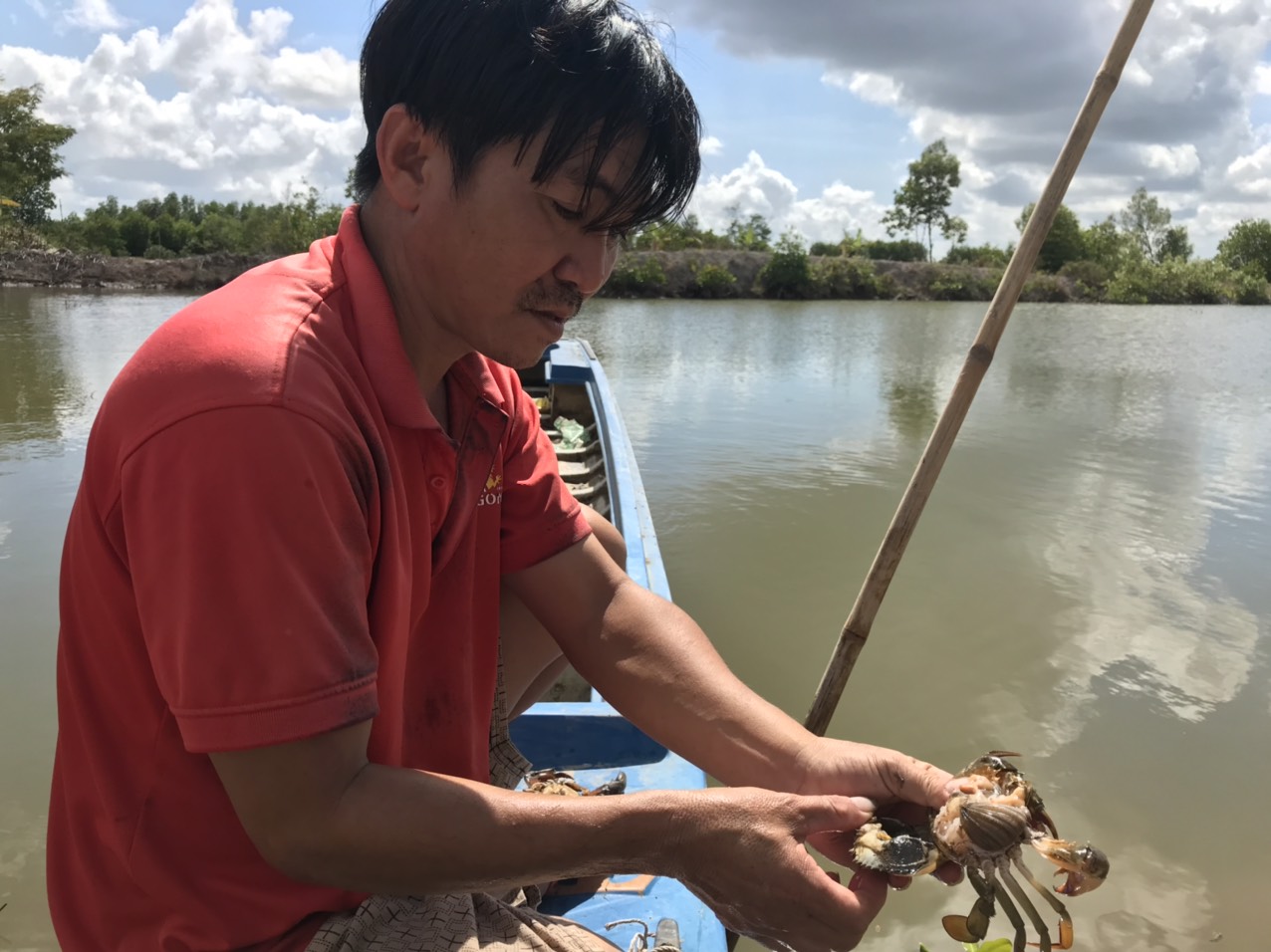 Đ&atilde; t&igrave;m ra nguy&ecirc;n nh&acirc;n cua biển C&agrave; Mau chết bất thường tr&ecirc;n diện rộng - Ảnh 1.