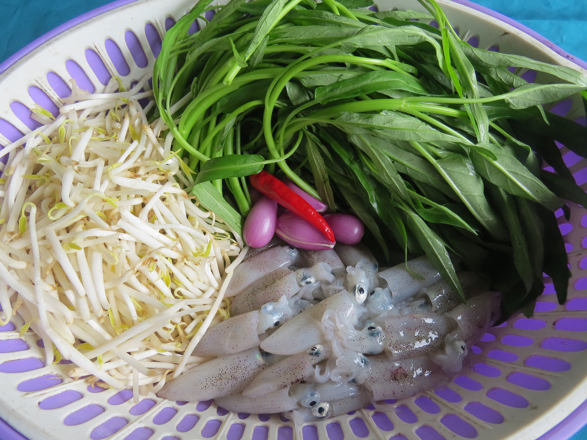 Gi&oacute; nồm gom mực trũng - Ảnh 1.