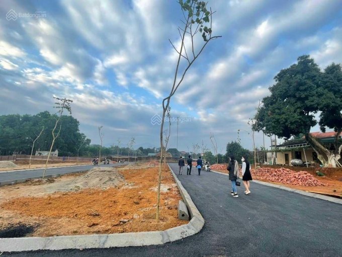 Dừng tách thửa chặn sốt đất: Chỉ là giải pháp tạm thời