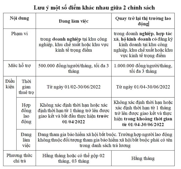 Đẩy nhanh tiến độ xác nhận cho người lao động hưởng hỗ trợ tiền thuê nhà - Ảnh 1.