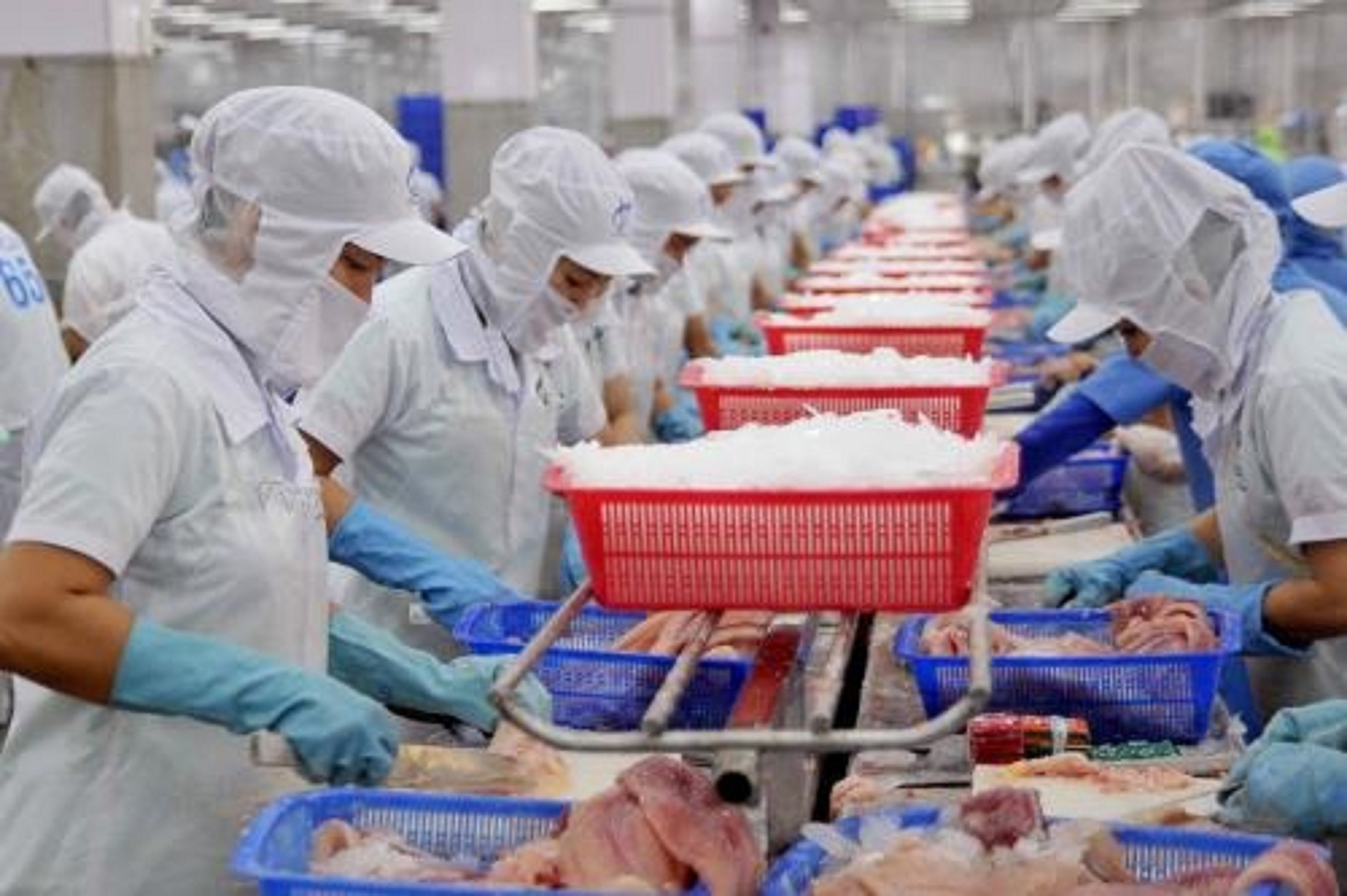 Hạnh phúc khi được sẻ chia - Ảnh 2.