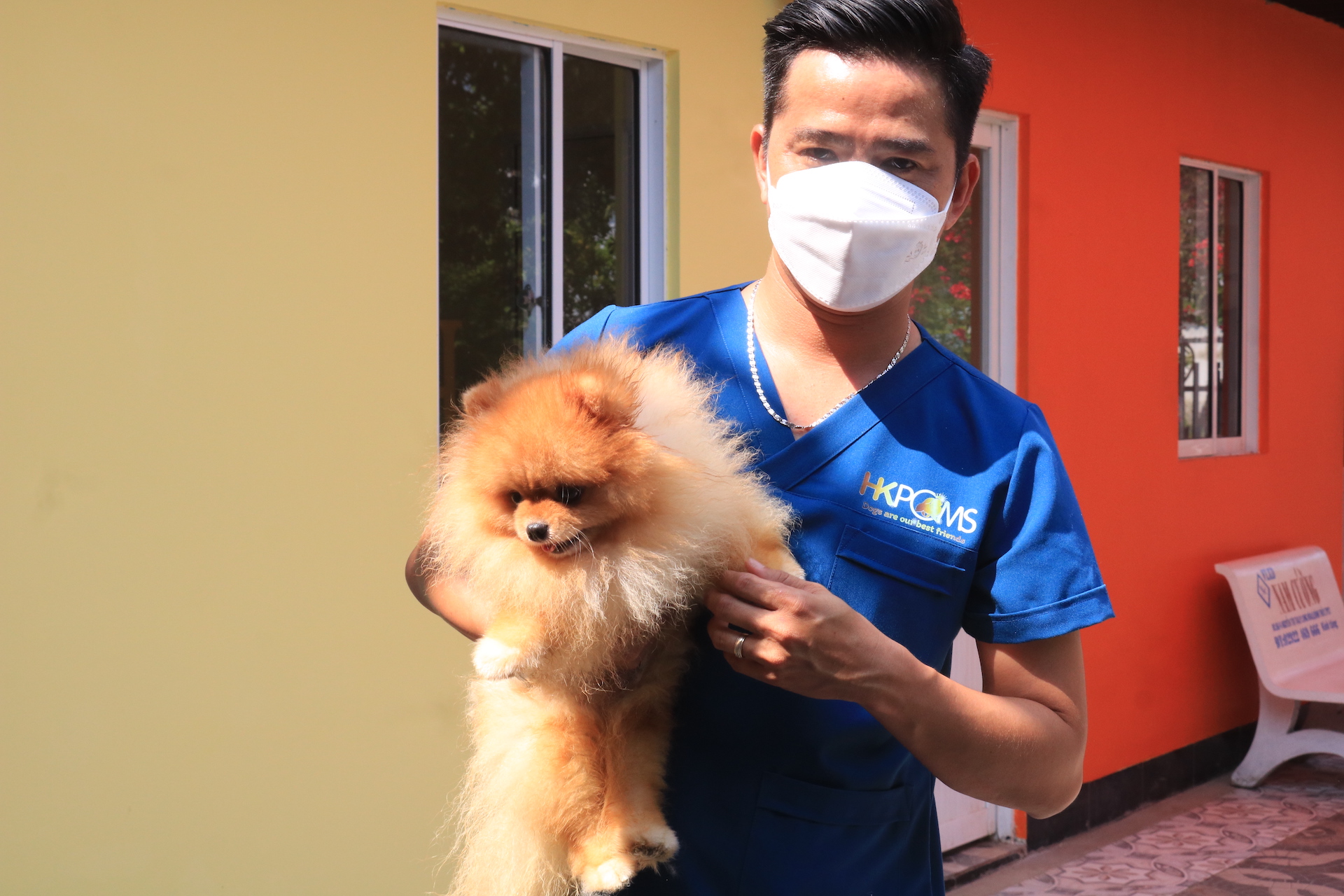 CLIP: Nu&ocirc;i ch&oacute; Pom trong m&aacute;y lạnh v&agrave; c&oacute; gia phả, 8X thu tiền tỉ - Ảnh 6.