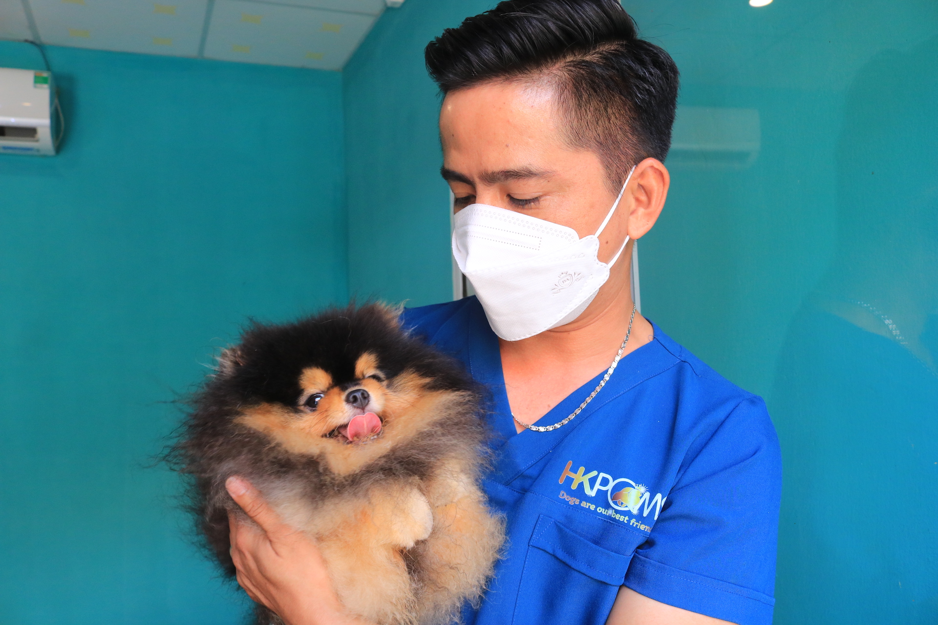CLIP: Nu&ocirc;i ch&oacute; Pom trong m&aacute;y lạnh v&agrave; c&oacute; gia phả, 8X thu tiền tỉ - Ảnh 1.