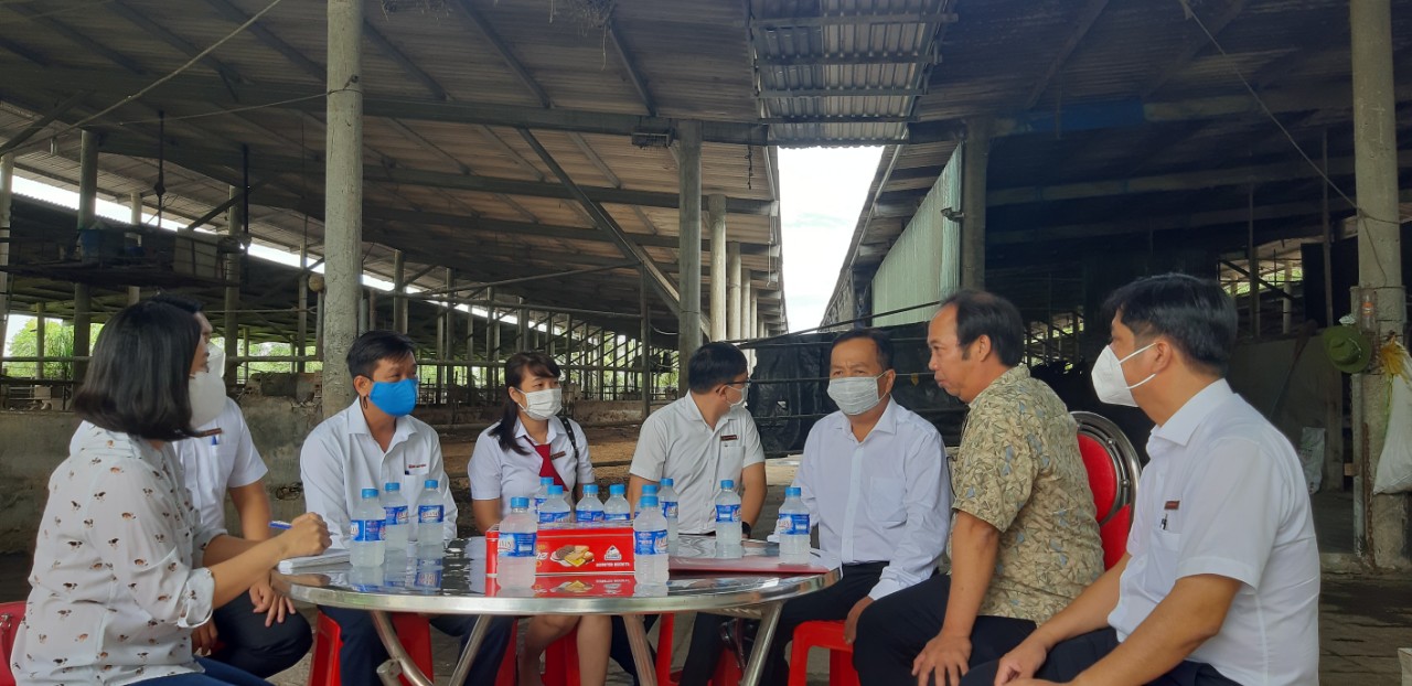 Nu&ocirc;i giống b&ograve; th&iacute;ch được vuốt ve, ăn h&egrave;m bia thu về tiền tỉ - Ảnh 1.