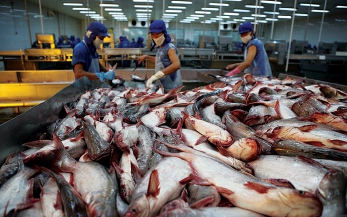 Xuất khẩu tôm, cá tra sang Nga đình trệ