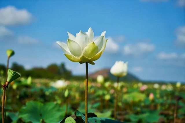 Bốn quy luật thành công của người giàu - Ảnh 1.