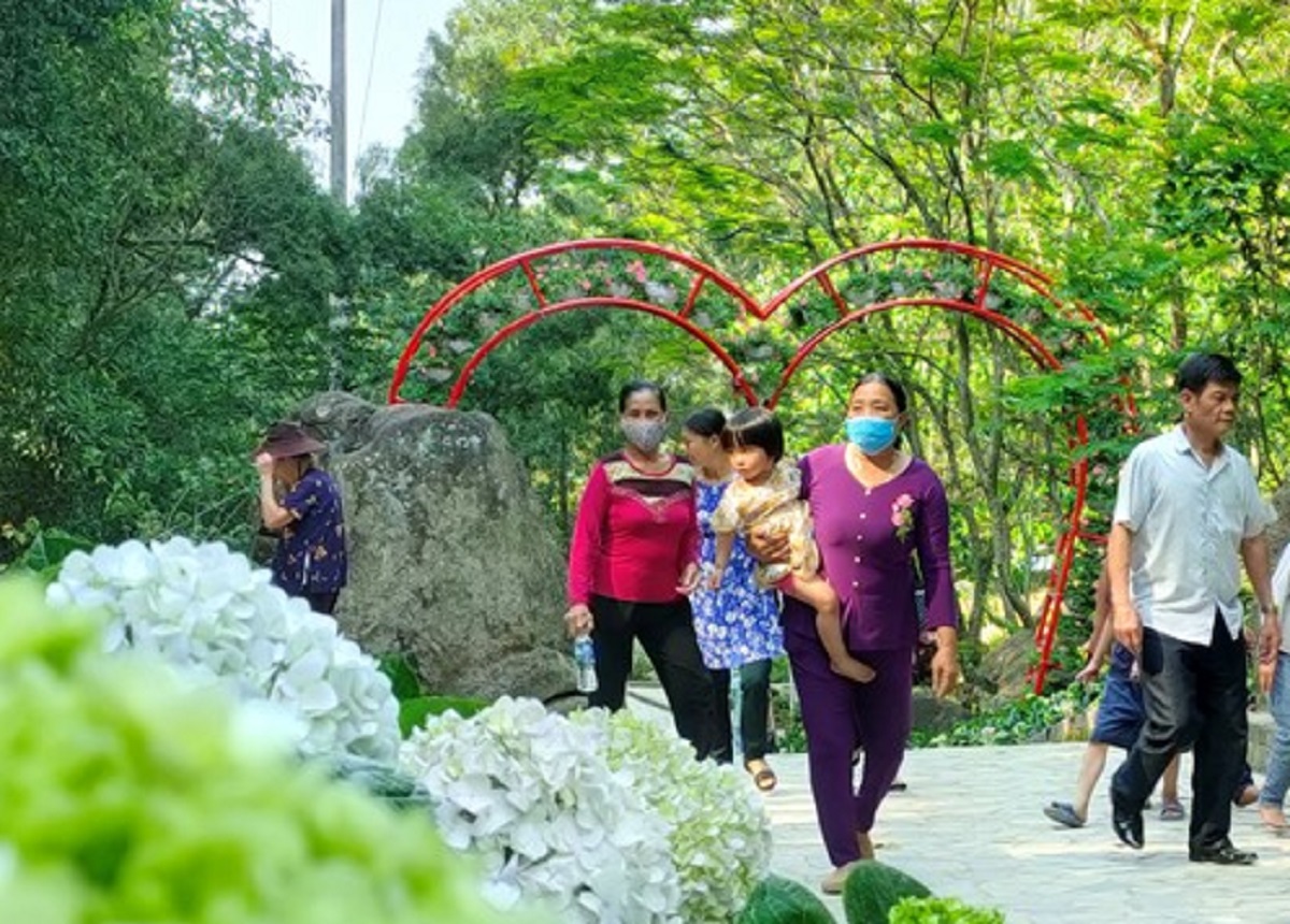 H&agrave;ng ng&agrave;n c&acirc;y hoa khoe sắc tại Lễ hội t&igrave;nh y&ecirc;u h&ograve;n Trống M&aacute;i - Ảnh 13.