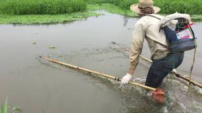 Dùng kích điện bắt cá, bị  điện giật tử vong