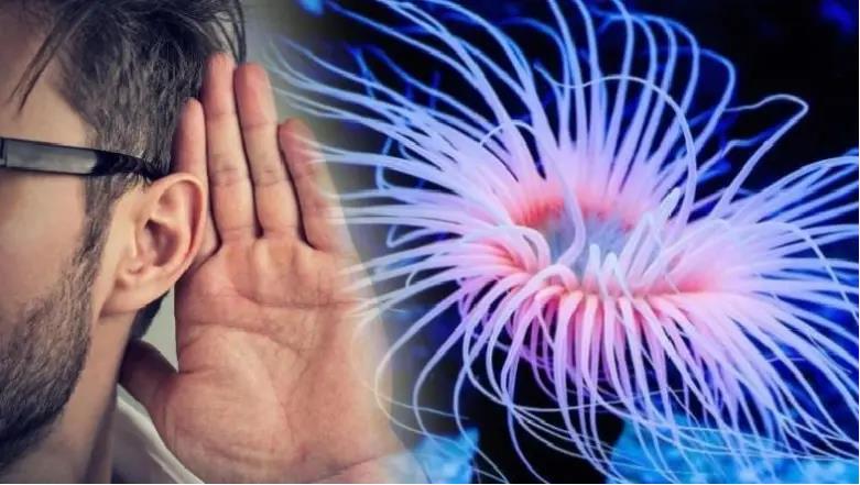 Ph&aacute;t hiện li&ecirc;n hệ g&acirc;y sốc giữa con người v&agrave; qu&aacute;i vật biết mọc lại đầu - Ảnh 1.