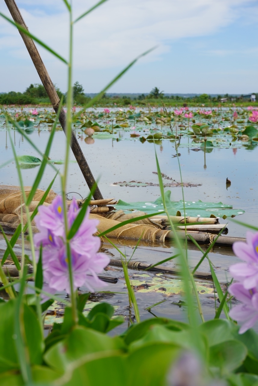 Những điểm đến đẹp lạ kh&ocirc;ng nhiều người biết ở Đồng Nai - Ảnh 5.