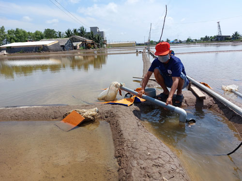 Diêm dân chờ được hỗ trợ