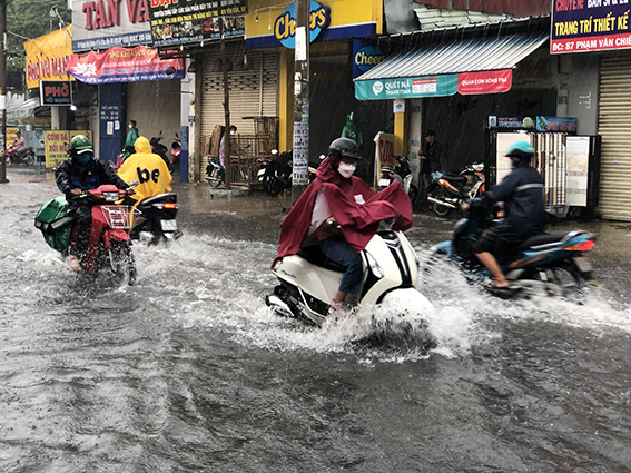 Phập phồng lo cây ngã, đường ngập vào mùa mưa