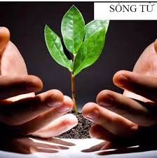 Câu chuyện tử tế