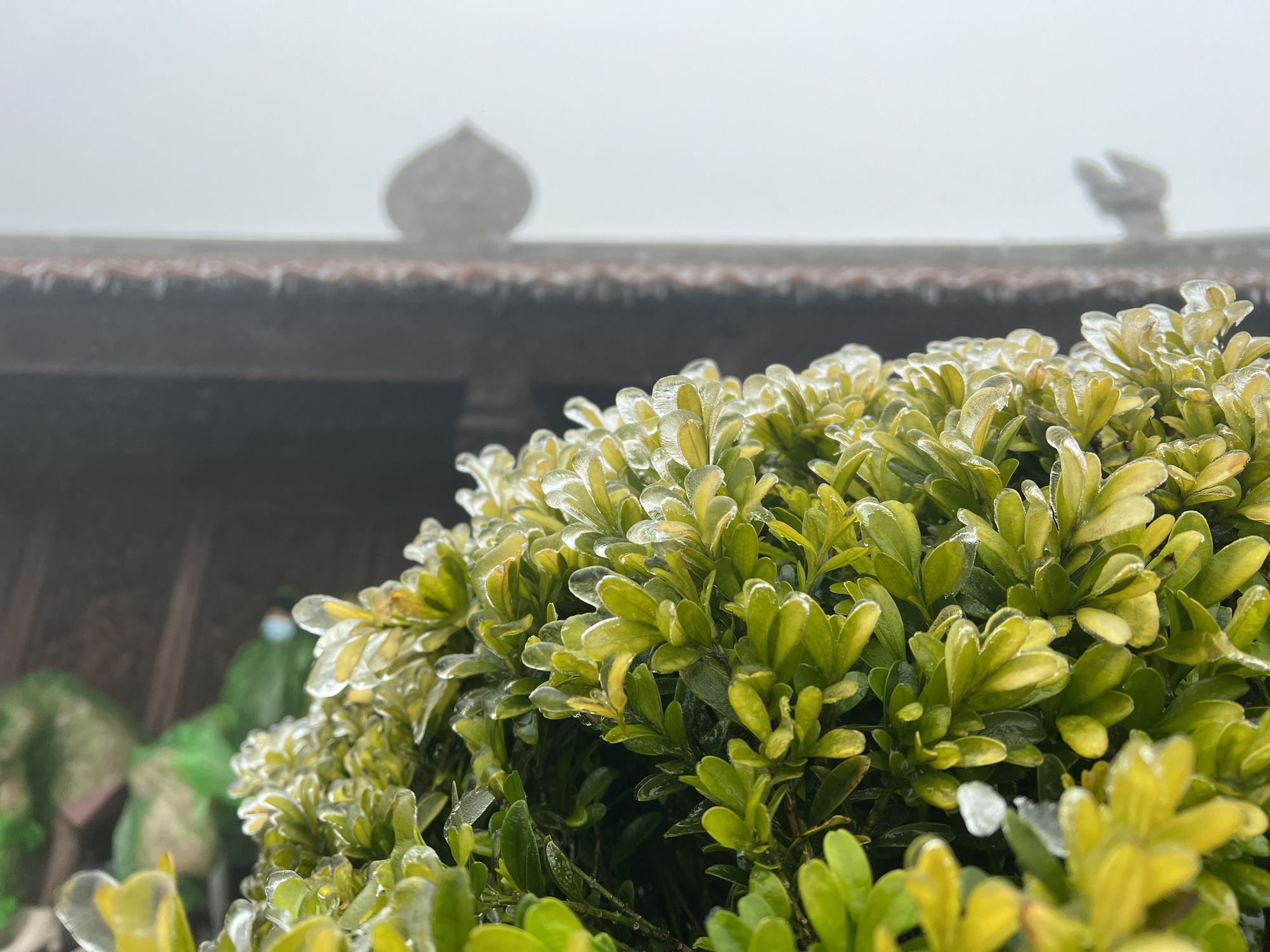 Cuối tuần, &ldquo;hoa băng&rdquo; nở tr&ecirc;n đỉnh Fansipan, lễ hội Đền Mẫu Thượng với nhiều hoạt động t&iacute;n ngưỡng độc đ&aacute;o  - Ảnh 5.