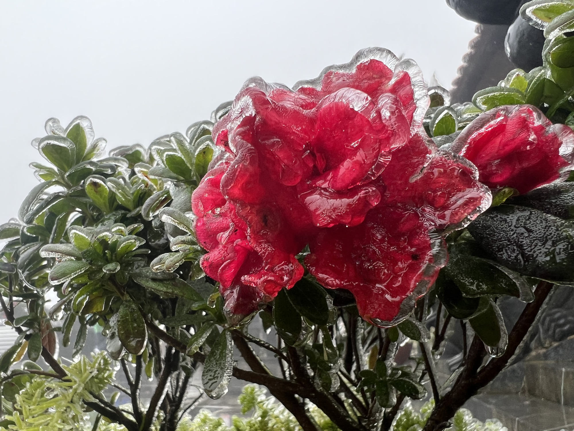 Cuối tuần, “hoa băng” nở trên đỉnh Fansipan, lễ hội Đền Mẫu Thượng với nhiều hoạt động tín ngưỡng độc đáo