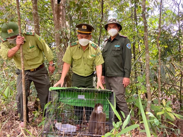 Ph&aacute;t hiện trăn đất qu&yacute; hiếm b&ograve; v&agrave;o s&acirc;n bay Đ&agrave; Nẵng - Ảnh 2.