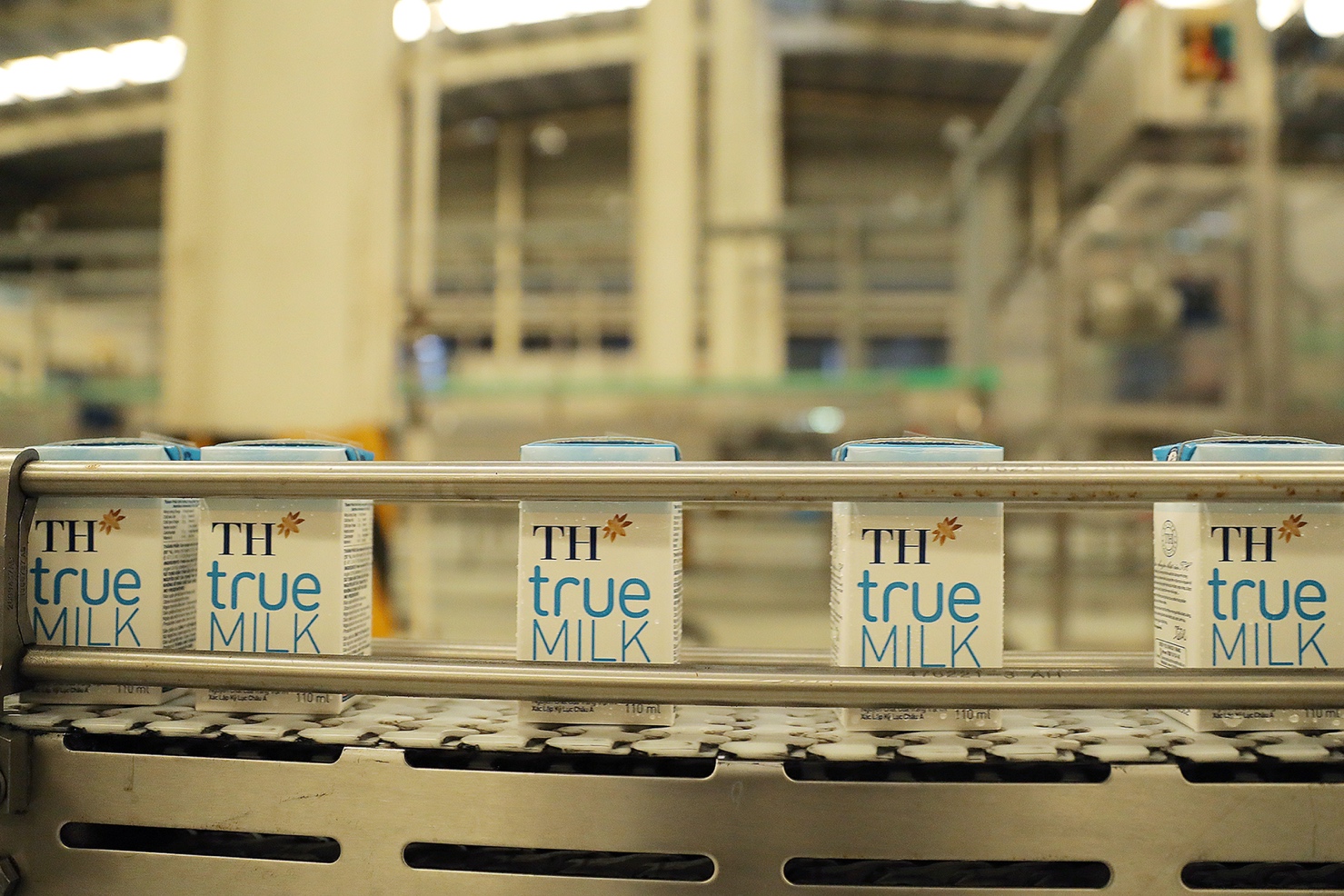 Hơn 1 thập kỷ TH true MILK: D&ograve;ng sữa sạch từ trang trại đạt kỷ lục thế giới - Ảnh 2.