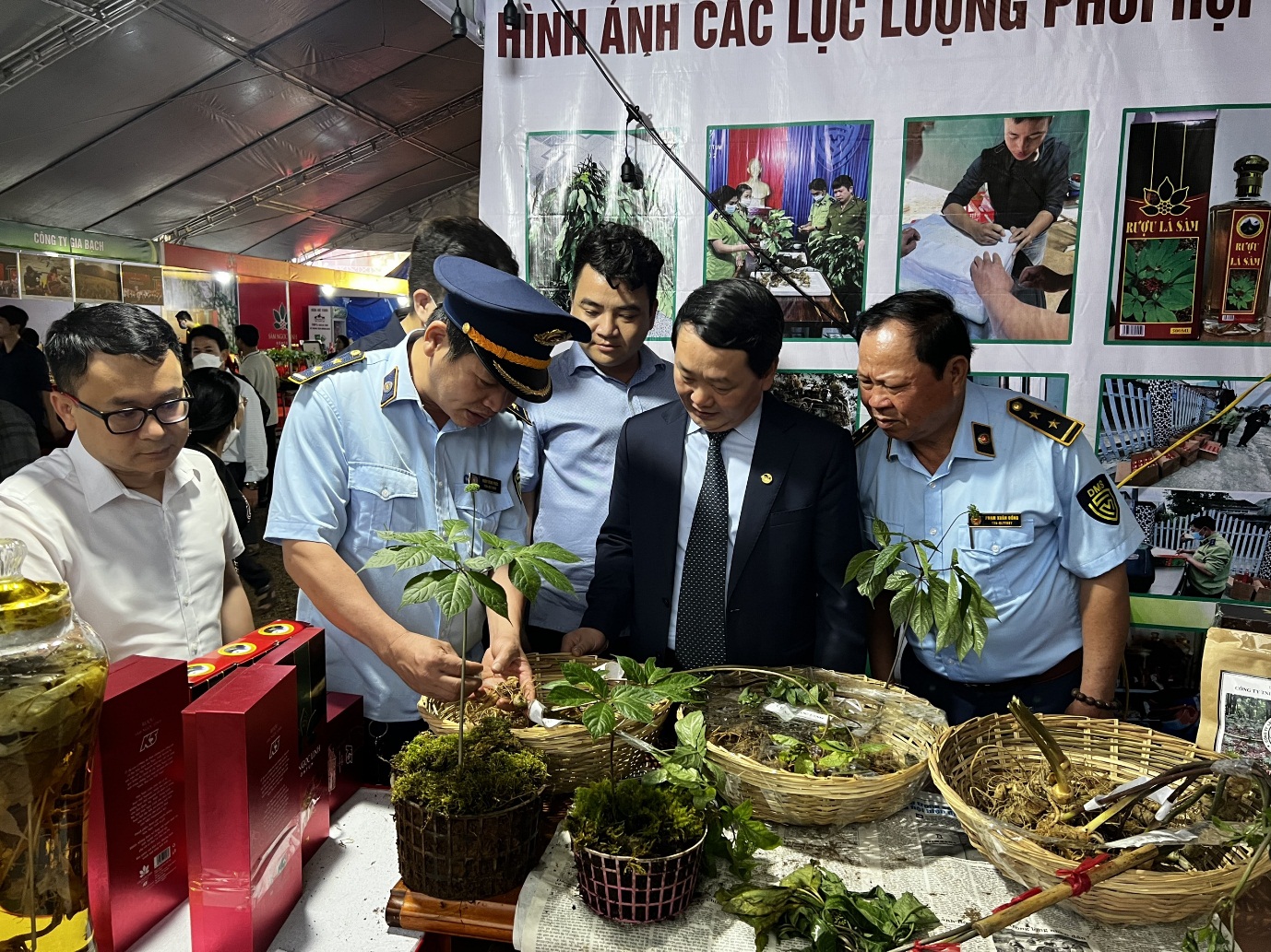 Giới thiệu sâm Ngọc Linh quý đến với du khách