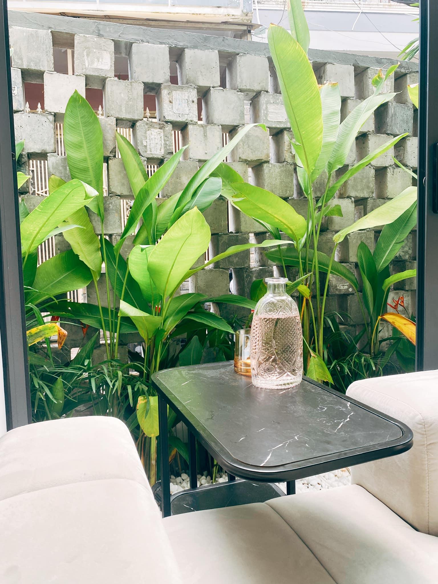 Ngôi nhà phố luôn trong lành nhờ được bọc bởi khu vườn nhỏ - Ảnh 25.