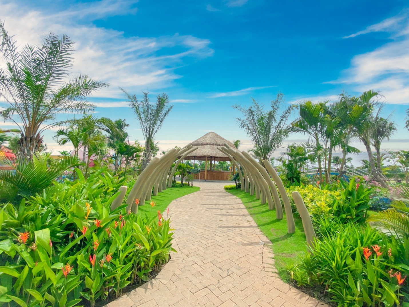 C&ocirc;ng vi&ecirc;n nước Dino Water Park ch&iacute;nh thức mở cửa miễn ph&iacute; trong 3 ng&agrave;y lễ tại Long An - Ảnh 6.