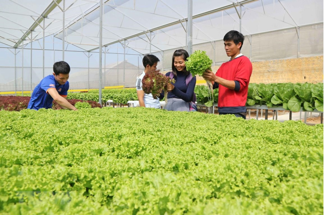 Thận trọng khi đăng ký sang Úc làm việc