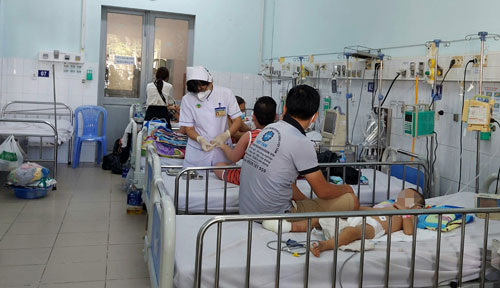 Tử vong do sốt xuất huyết tăng, Viện Pasteur TP HCM tổ chức họp khẩn
