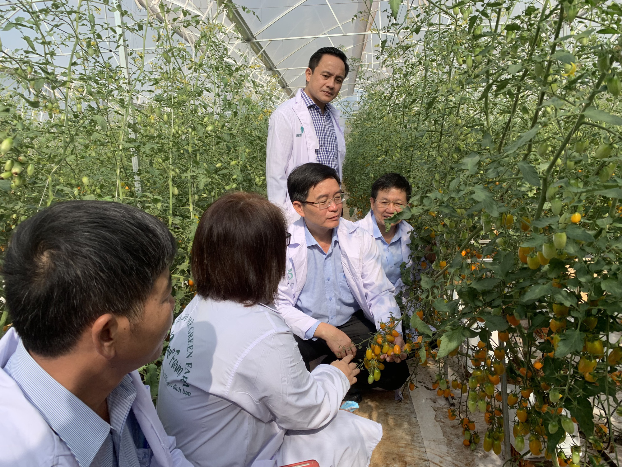 Ph&aacute;t triển n&ocirc;ng nghiệp t&iacute;ch hợp đa gi&aacute; trị - Ảnh 1.