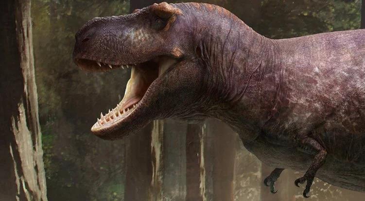 Lý do rùng rợn khiến "tay" của bạo chúa T-rex hầu như biến mất