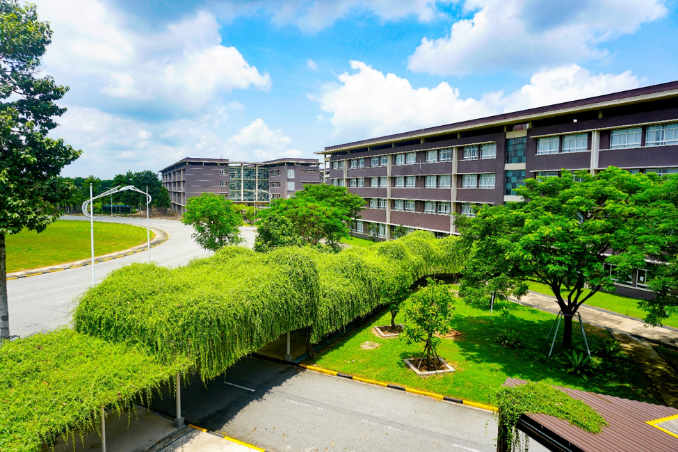 Trường Đại học với chuẩn đầu ra tiếng Anh của tất cả sinh vi&ecirc;n IELTS 6.0 trở l&ecirc;n - Ảnh 1.