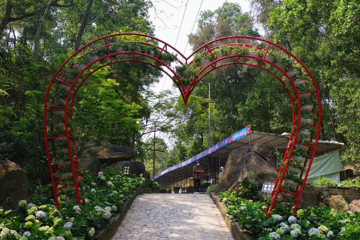 H&agrave;ng ng&agrave;n c&acirc;y hoa khoe sắc tại Lễ hội t&igrave;nh y&ecirc;u h&ograve;n Trống M&aacute;i - Ảnh 2.