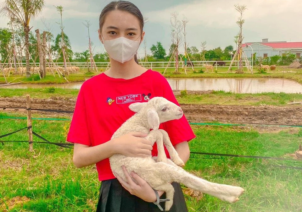 CLIP: Về Bạc Liêu, uống cà phê ngắm đàn cừu "siêu" dễ thương