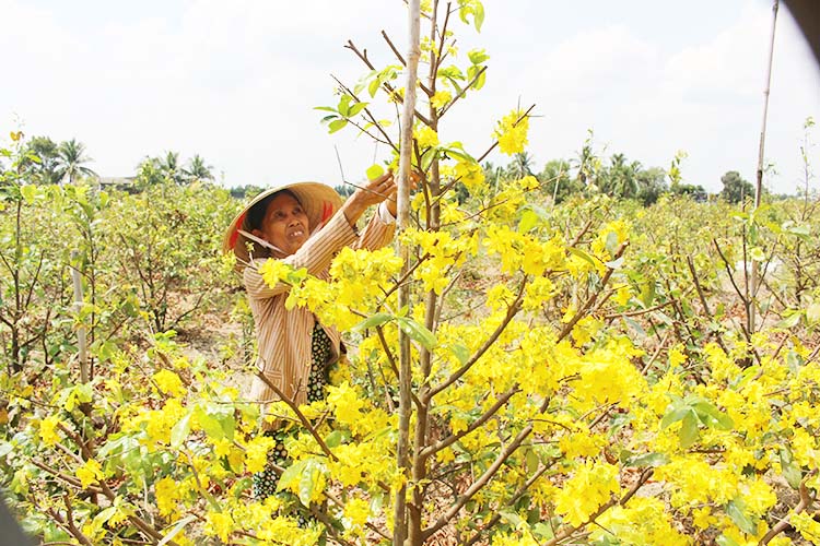 Nghĩa tình Quỹ Hỗ trợ cộng đồng David Dương - Ảnh 1.