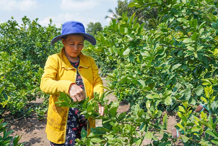 Nghĩa tình Quỹ Hỗ trợ cộng đồng David Dương