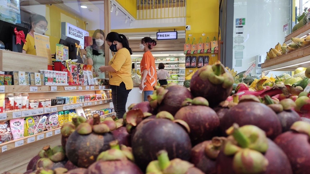 Măng cụt Việt Nam v&agrave;o m&ugrave;a, ăn đứt h&agrave;ng Th&aacute;i Lan - Ảnh 1.