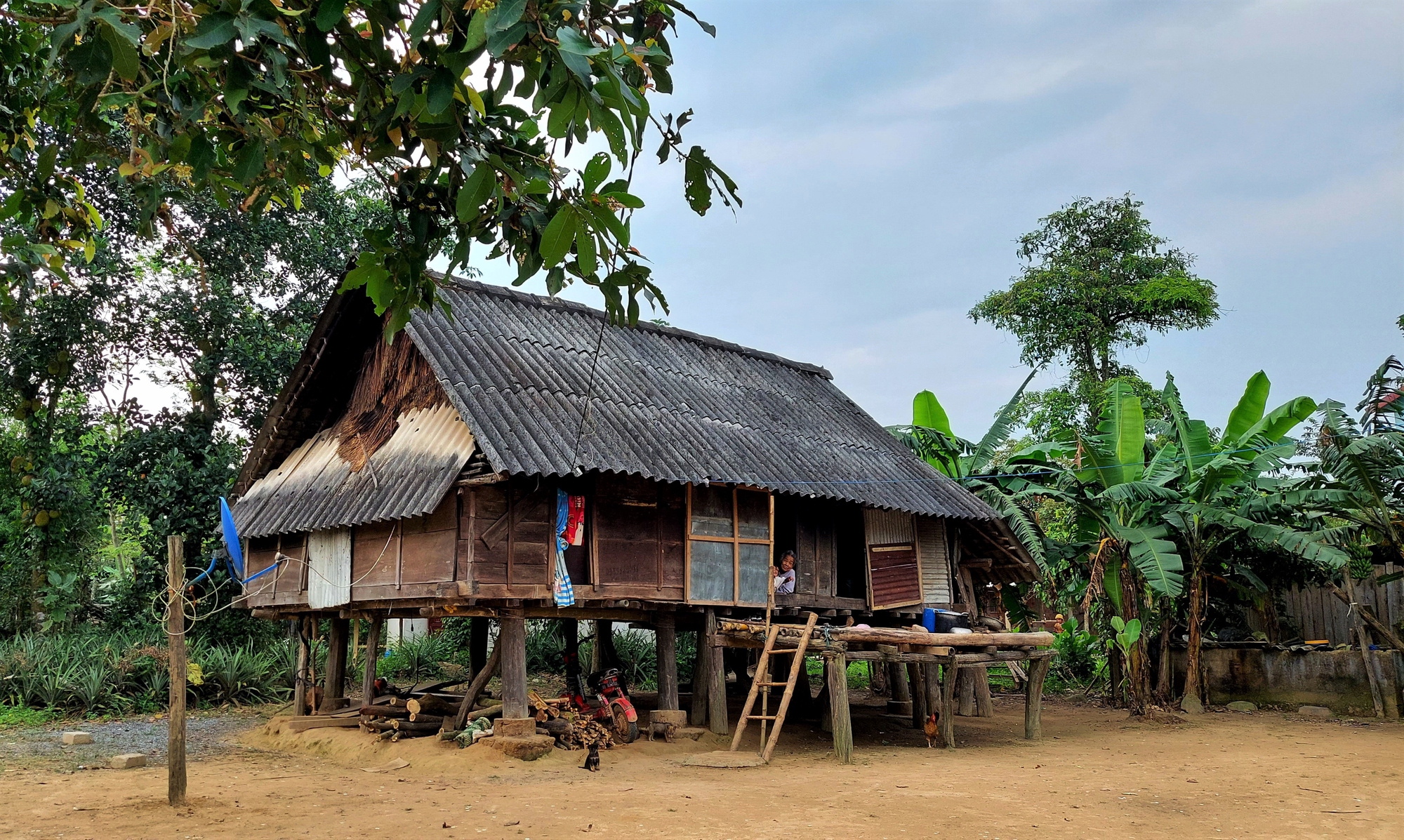 Bản Ch&ugrave;a h&ocirc;m nay đau đ&aacute;u buồn - Ảnh 3.
