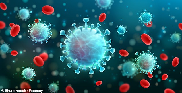 Tế b&agrave;o bị nhiễm virus SARS-CoV-2 c&oacute; thể &ldquo;ph&aacute;t nổ&rdquo; - Ảnh 1.