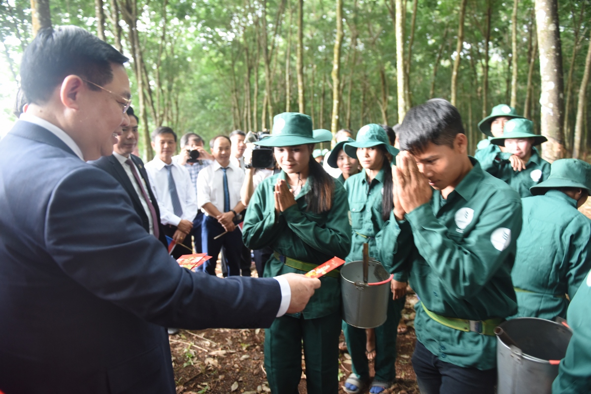 Chủ tịch Quốc hội Vương Đ&igrave;nh Huệ thăm v&agrave; l&agrave;m việc tại Cao su Việt L&agrave;o - Ảnh 2.
