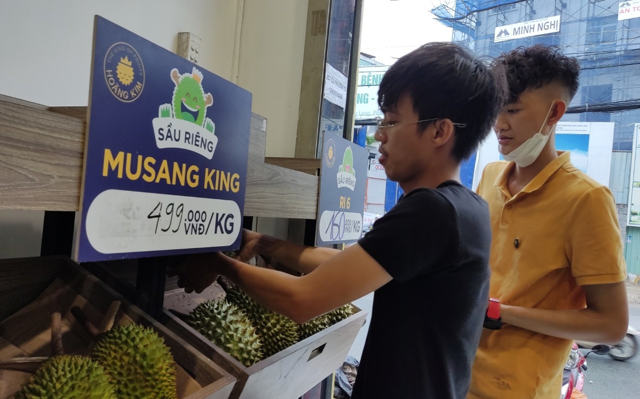 Cho&aacute;ng với gi&aacute; sầu ri&ecirc;ng Musang King trồng tại Việt Nam - Ảnh 1.