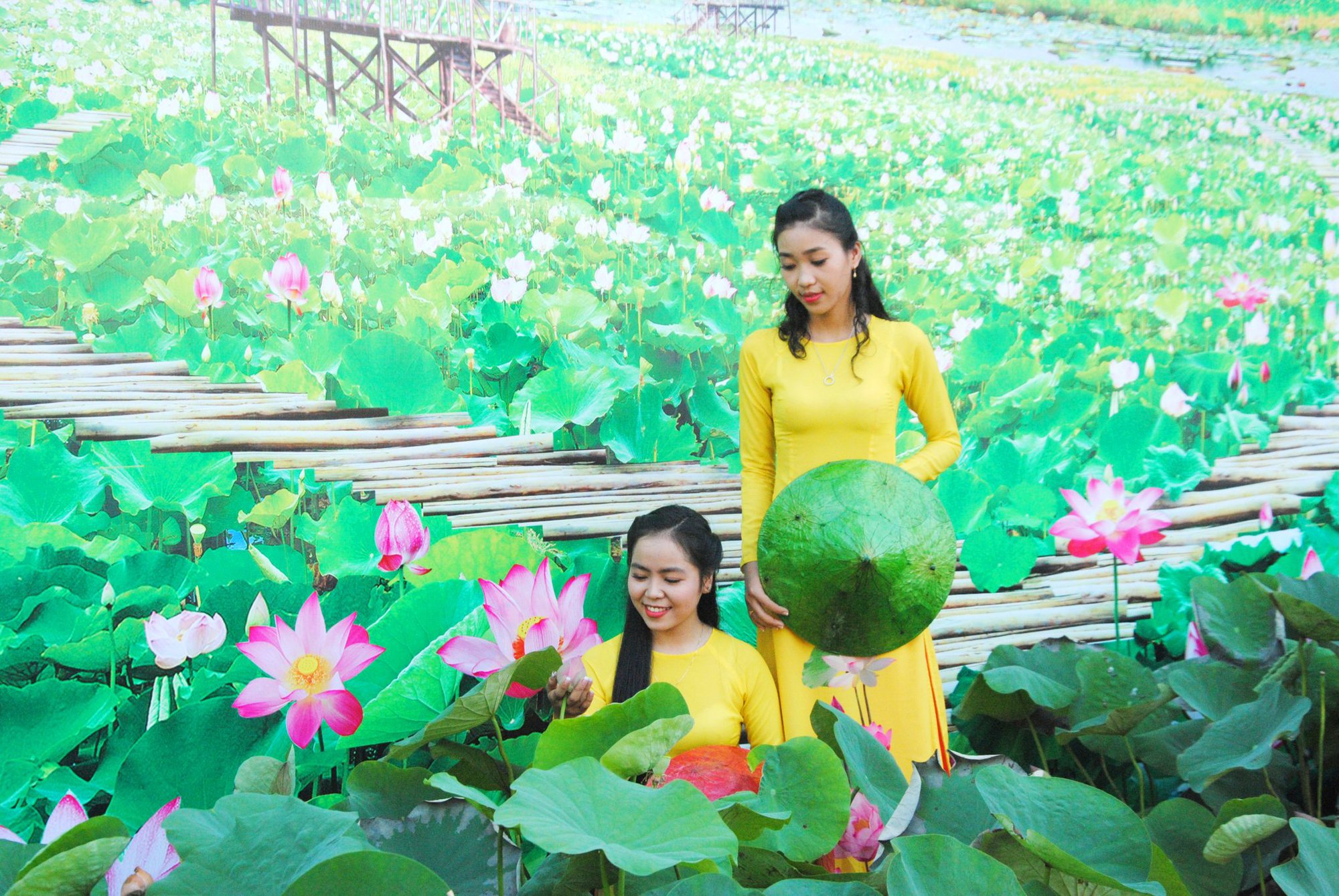 Đẩy mạnh phát triển du lịch nông nghiệp