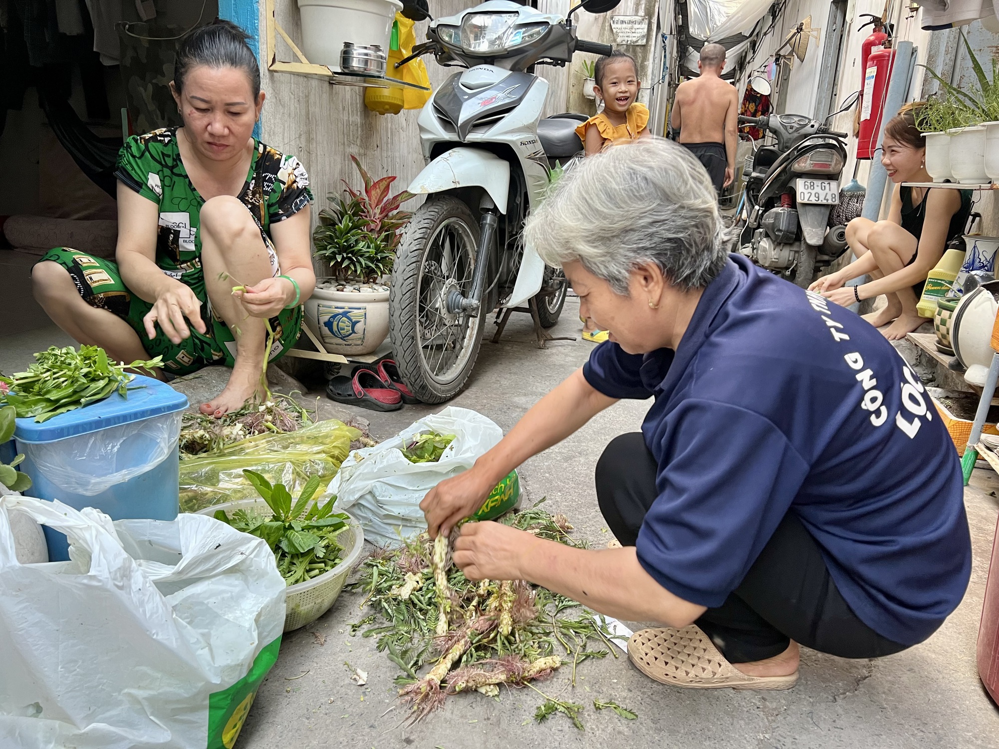 Ồ ạt rút BHXH một lần: Luật BHXH càng điều chỉnh, càng bất cập